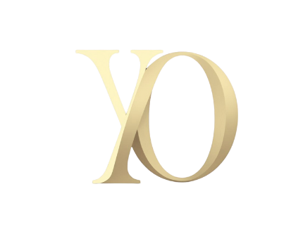 flavion YO final design